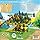 photosynthesis board game.