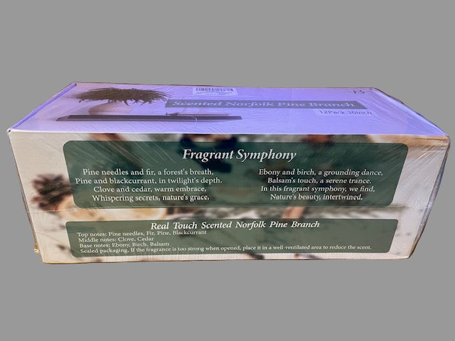 Christmas Norfolk Pine Stems (scented)