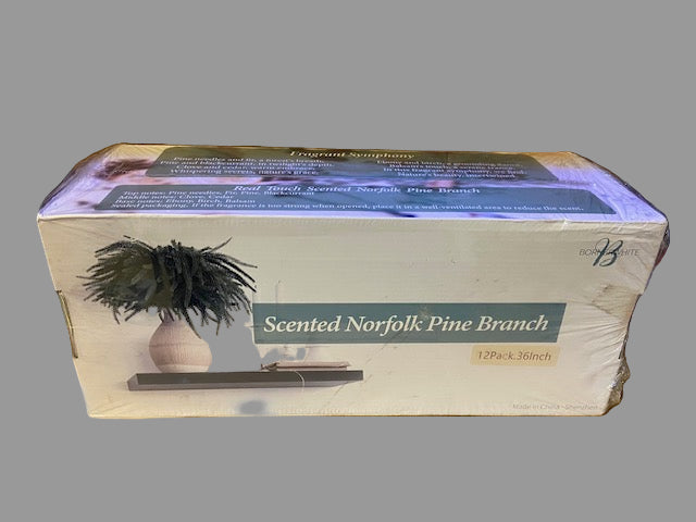 Christmas Norfolk Pine Stems (scented)