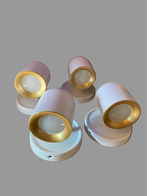 FEMILA LED Spot Lights Indoor