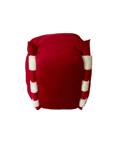 Holiday Sleigh Pet Bed