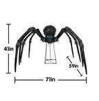 KiLiKuaLa 6Ft Giant Phreaky Phil Spider