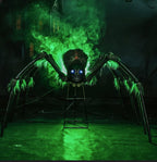 KiLiKuaLa 6Ft Giant Phreaky Phil Spider